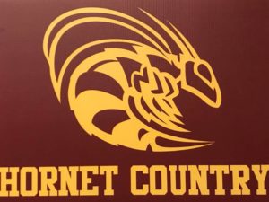 hornet country