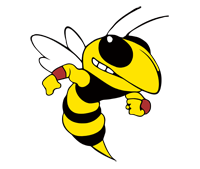 high school hornet